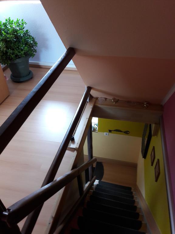 Ferienwohnung Osterbrink Илзенбург Екстериор снимка